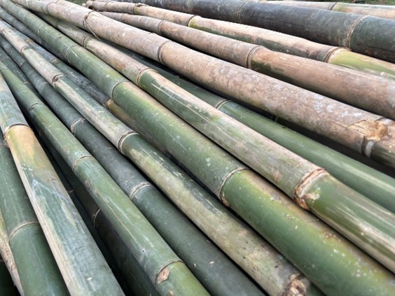 Yazaki Develops High-Performance, Lower-Carbon Polymer-Bamboo Composite for Automotive and Other Industrial Applications